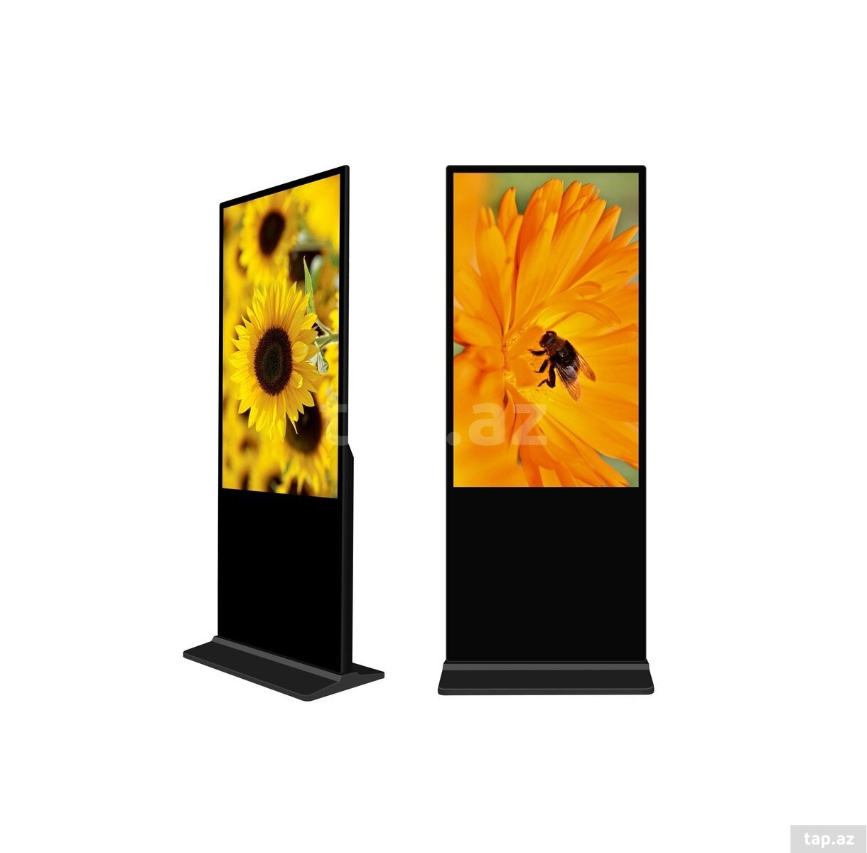 IS-AD55F 55 düym LCD reklam stendi